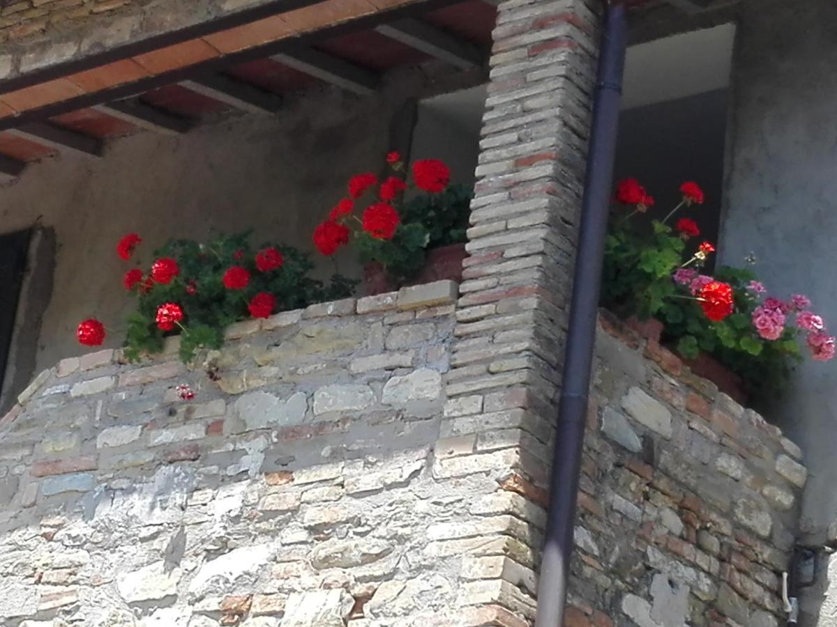 Fattoria Di Rigone Villa Coltavolino Екстериор снимка
