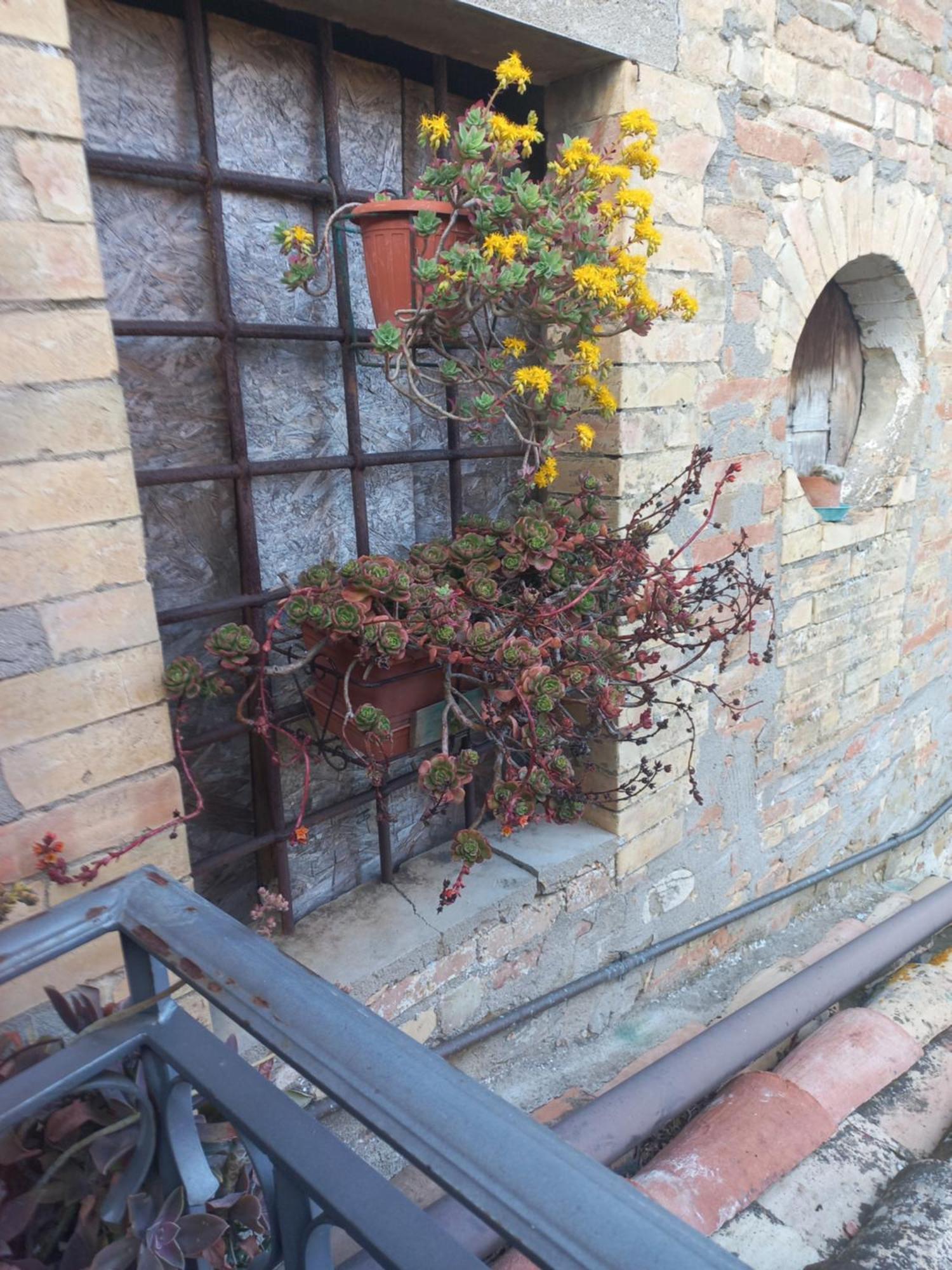Fattoria Di Rigone Villa Coltavolino Екстериор снимка
