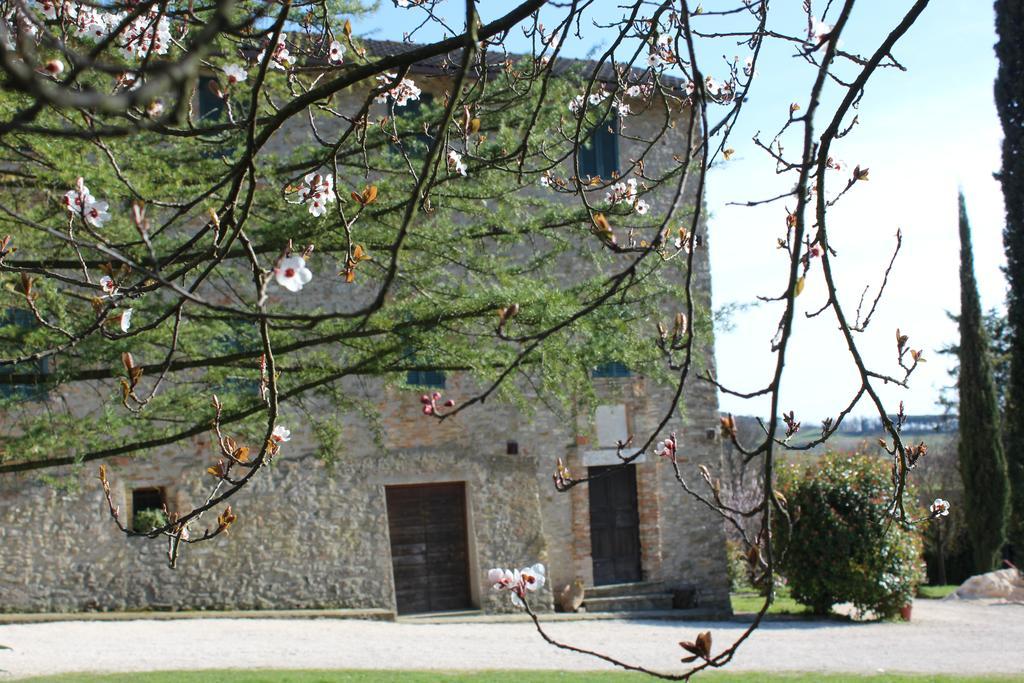 Fattoria Di Rigone Villa Coltavolino Екстериор снимка