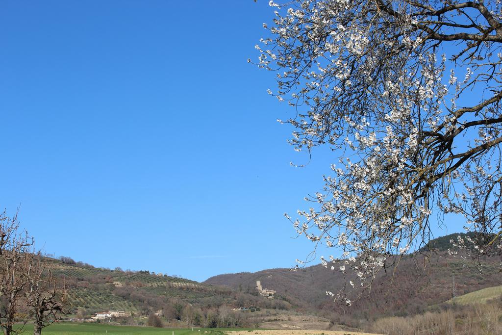 Fattoria Di Rigone Villa Coltavolino Екстериор снимка