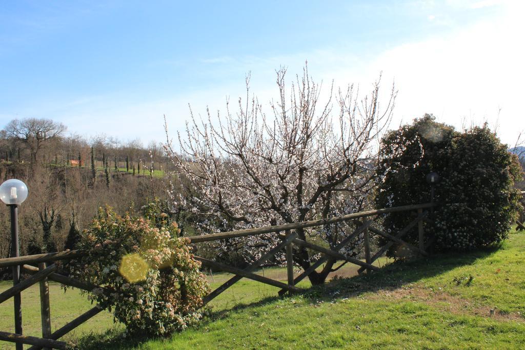 Fattoria Di Rigone Villa Coltavolino Екстериор снимка