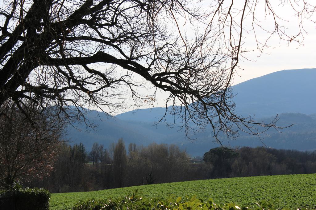Fattoria Di Rigone Villa Coltavolino Екстериор снимка