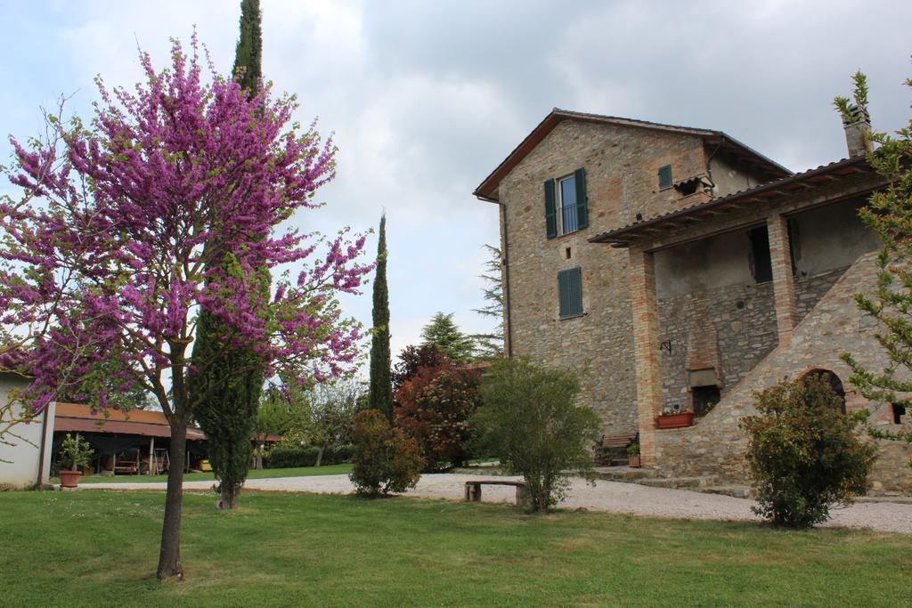 Fattoria Di Rigone Villa Coltavolino Екстериор снимка