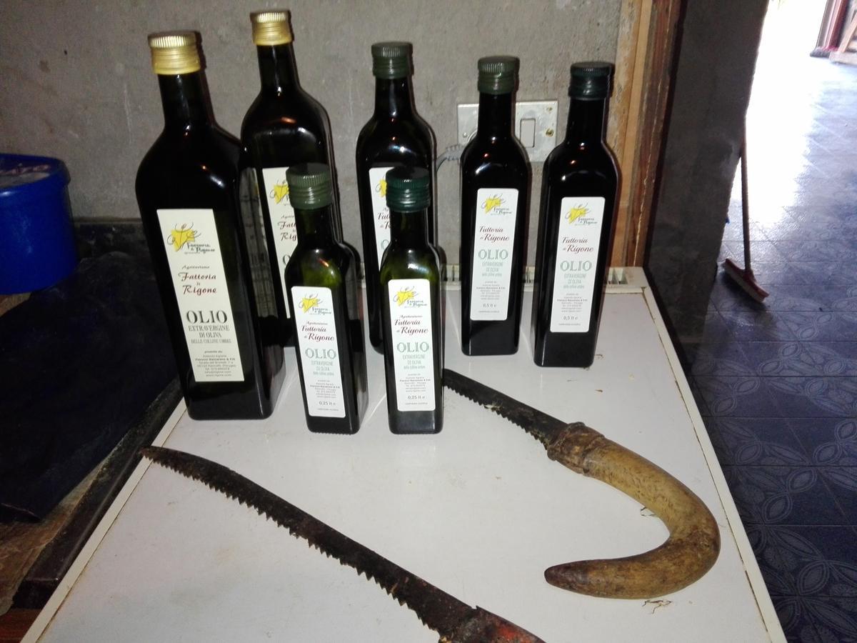 Fattoria Di Rigone Villa Coltavolino Екстериор снимка